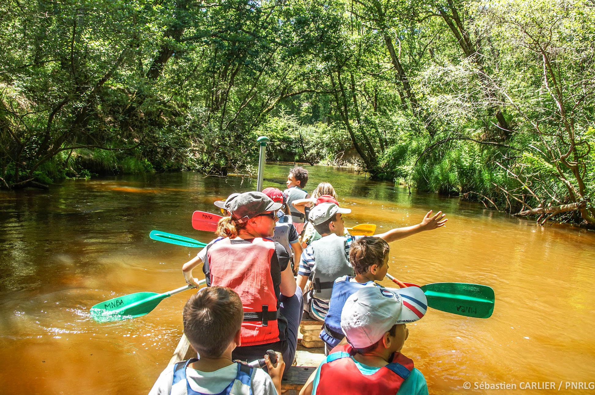 Balade contée en canoë collectif – Thématique Bernache