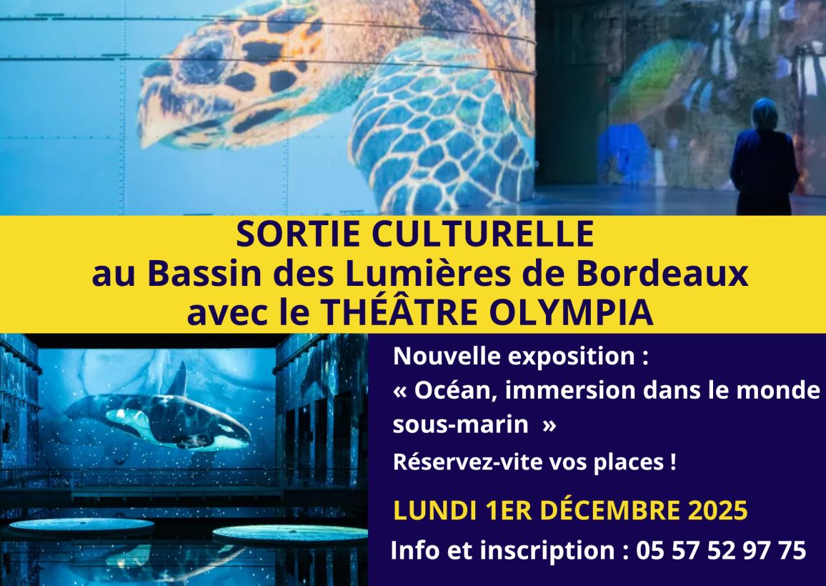 Sortie culturelle au Bassin des Lumières de Bordeaux