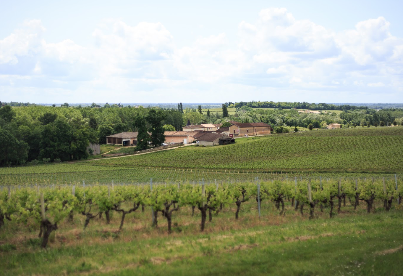 Château Monconseil-Gazin