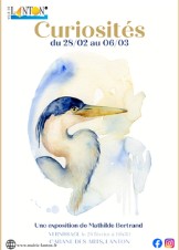 Exposition Cabane des Arts : Curiosités