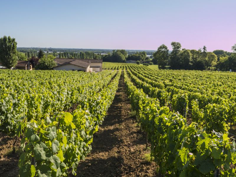 Château Jacquet