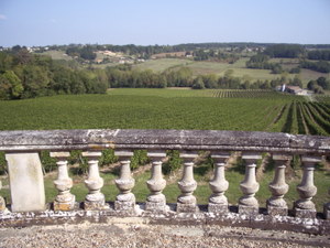 Château Parenchère - Vue sur le vignoble