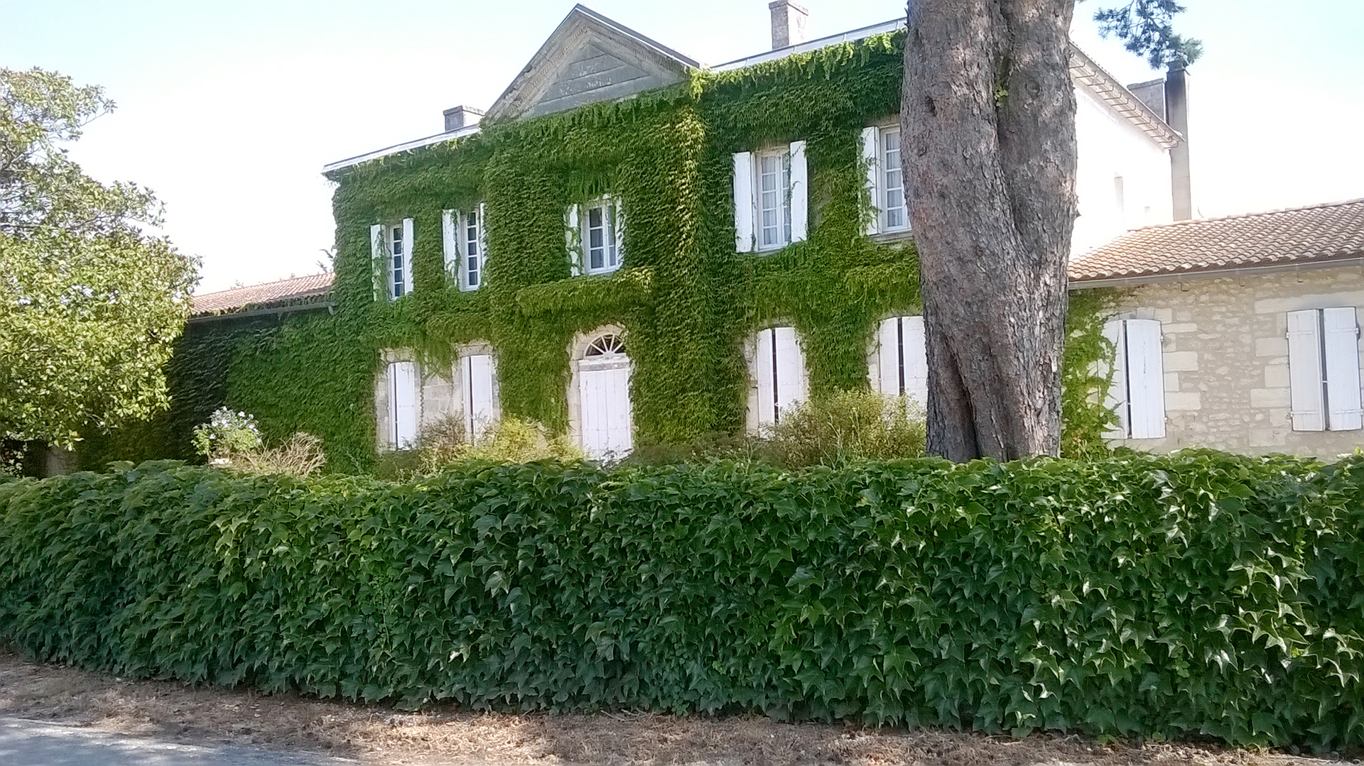 Château de Greysac