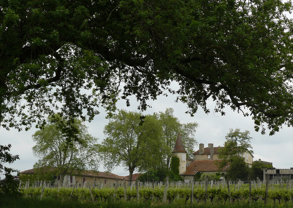 Château de Juliac