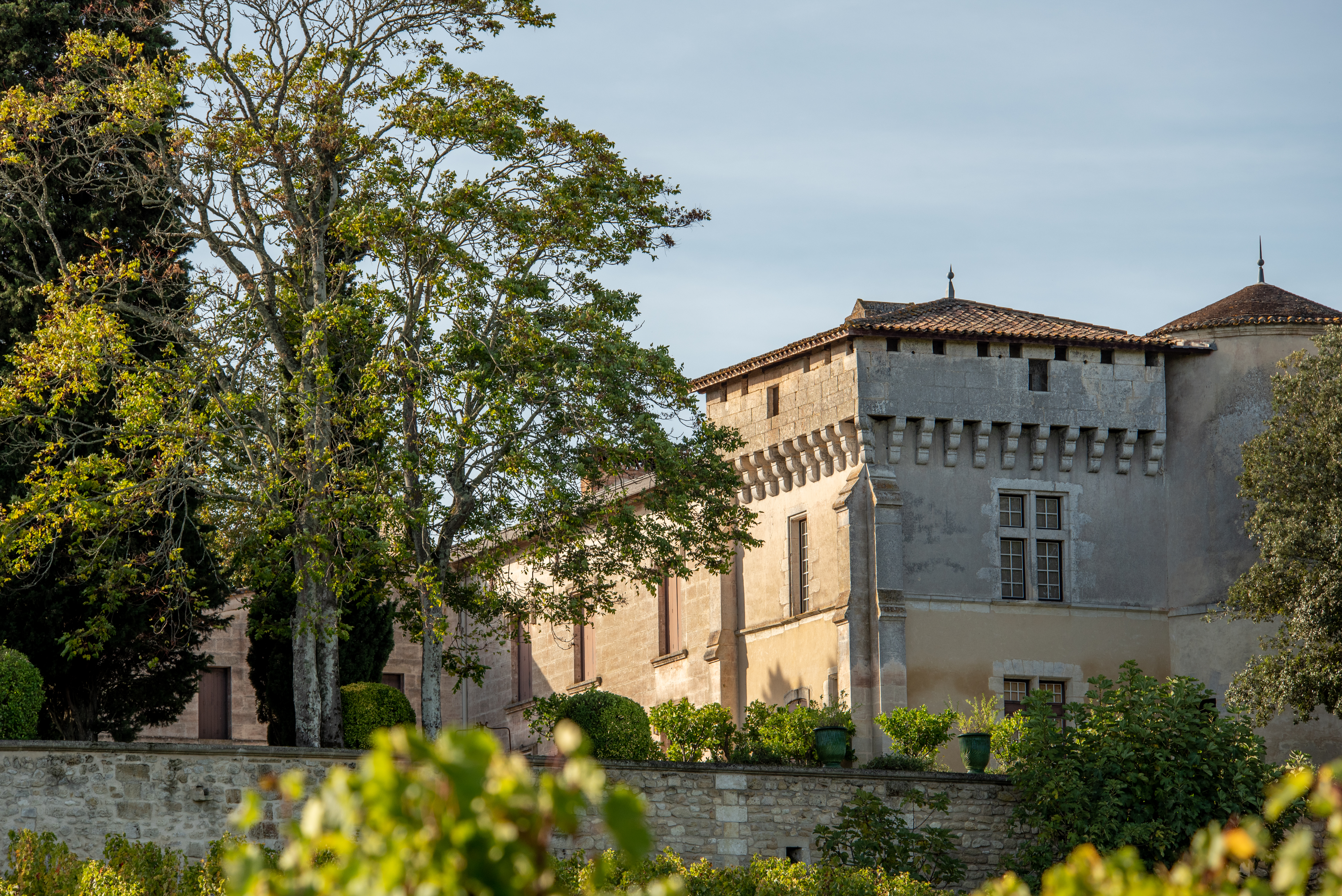 Château de Carles