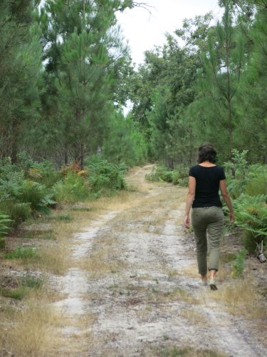 Chemin Brocas Audrey web