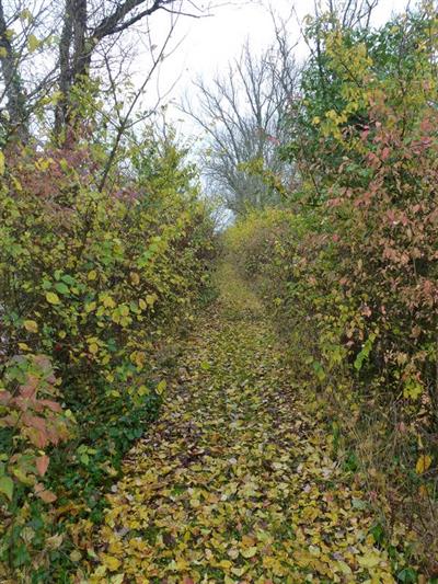 Chemin après le passage