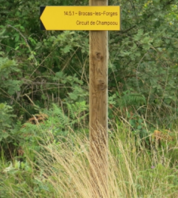 Chemin de Champoou web
