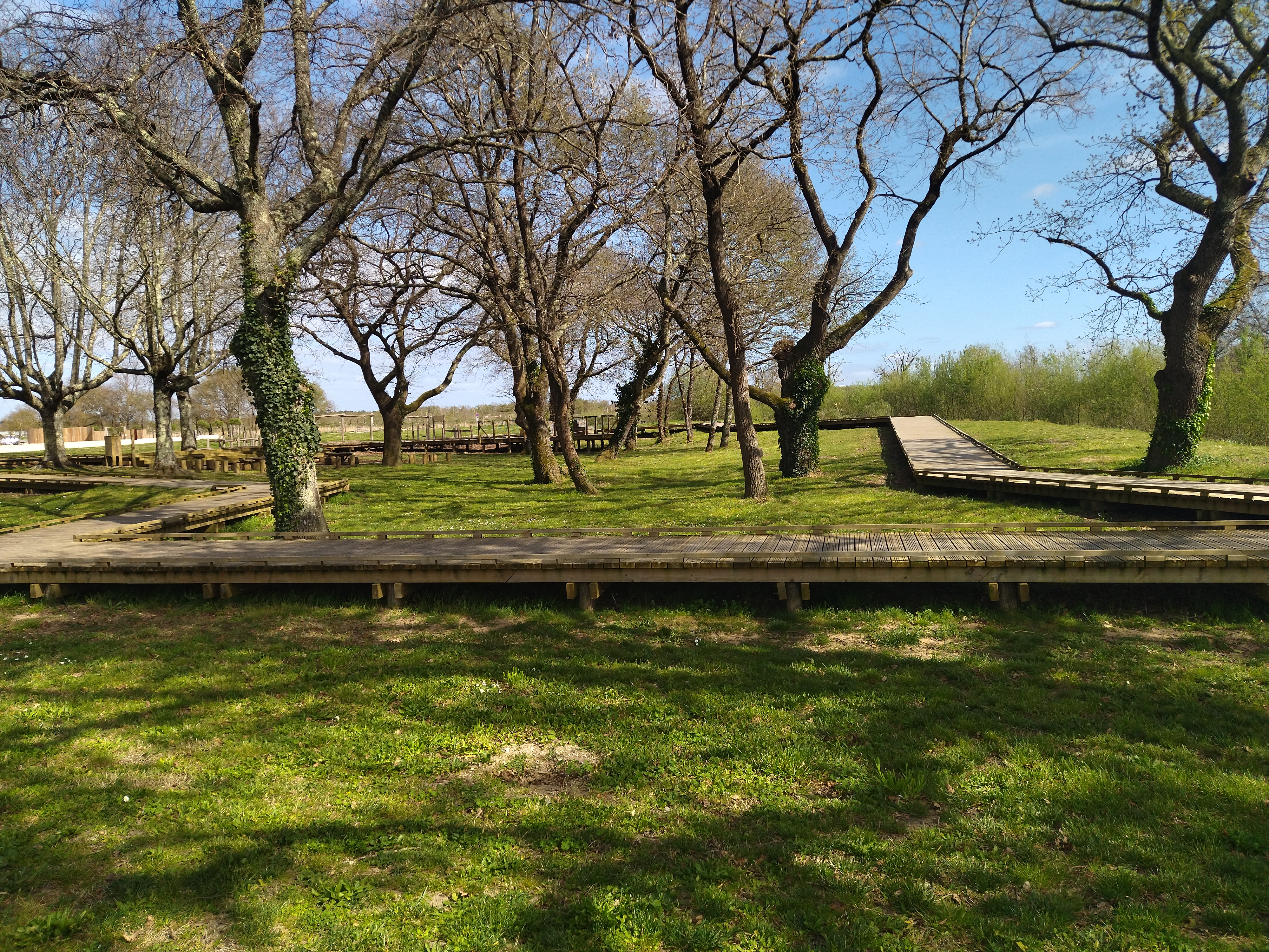 Cheminement en bois et jeux pour enfants