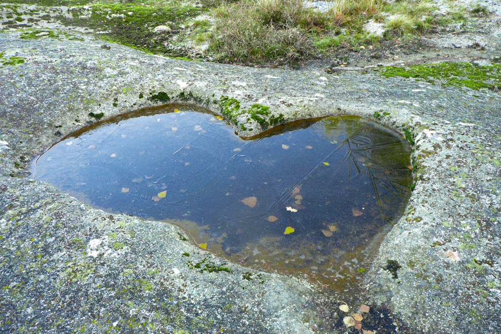 Coeur de géant