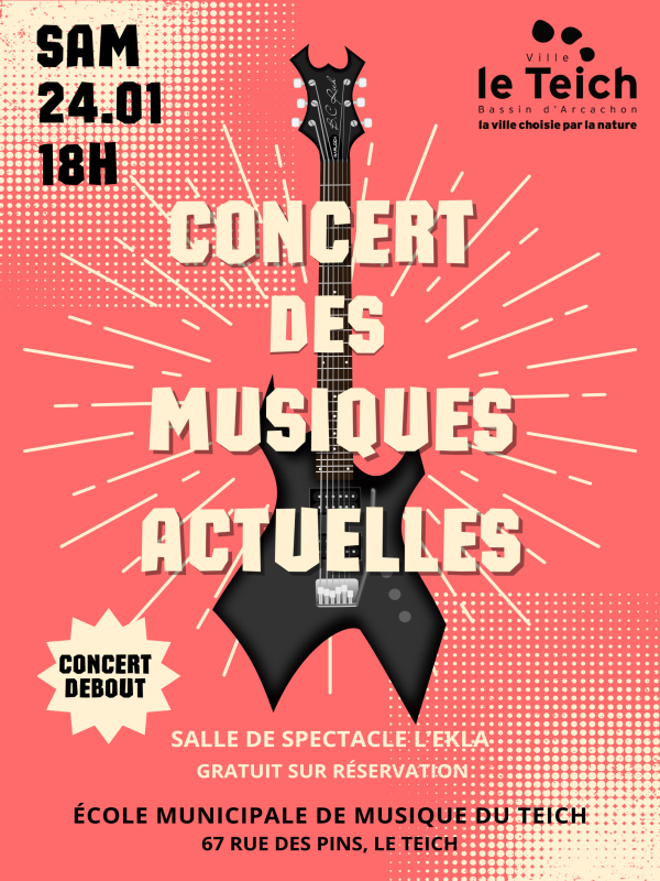 Concert des Musiques Actuelles.