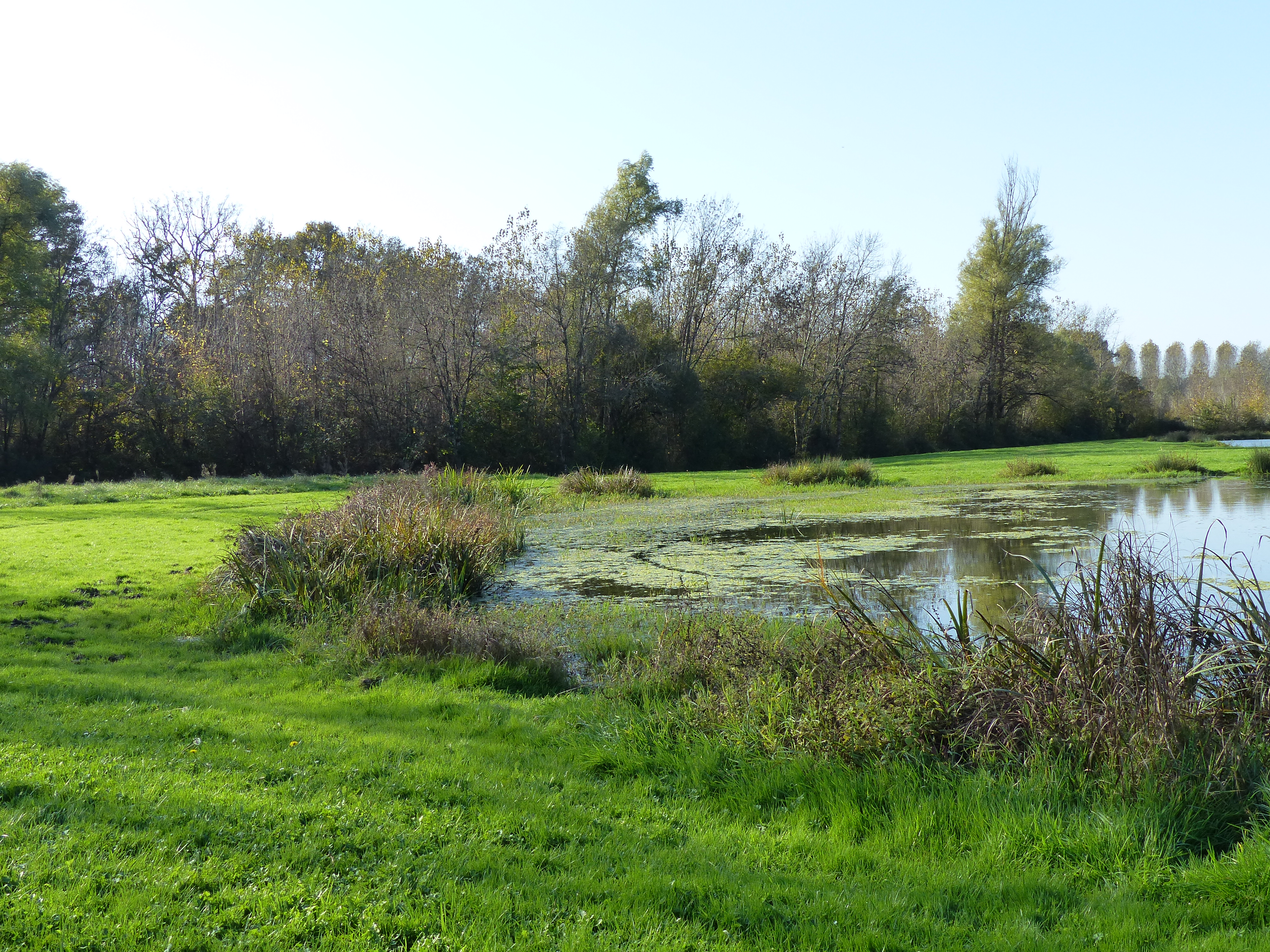 Zone Natura 2000