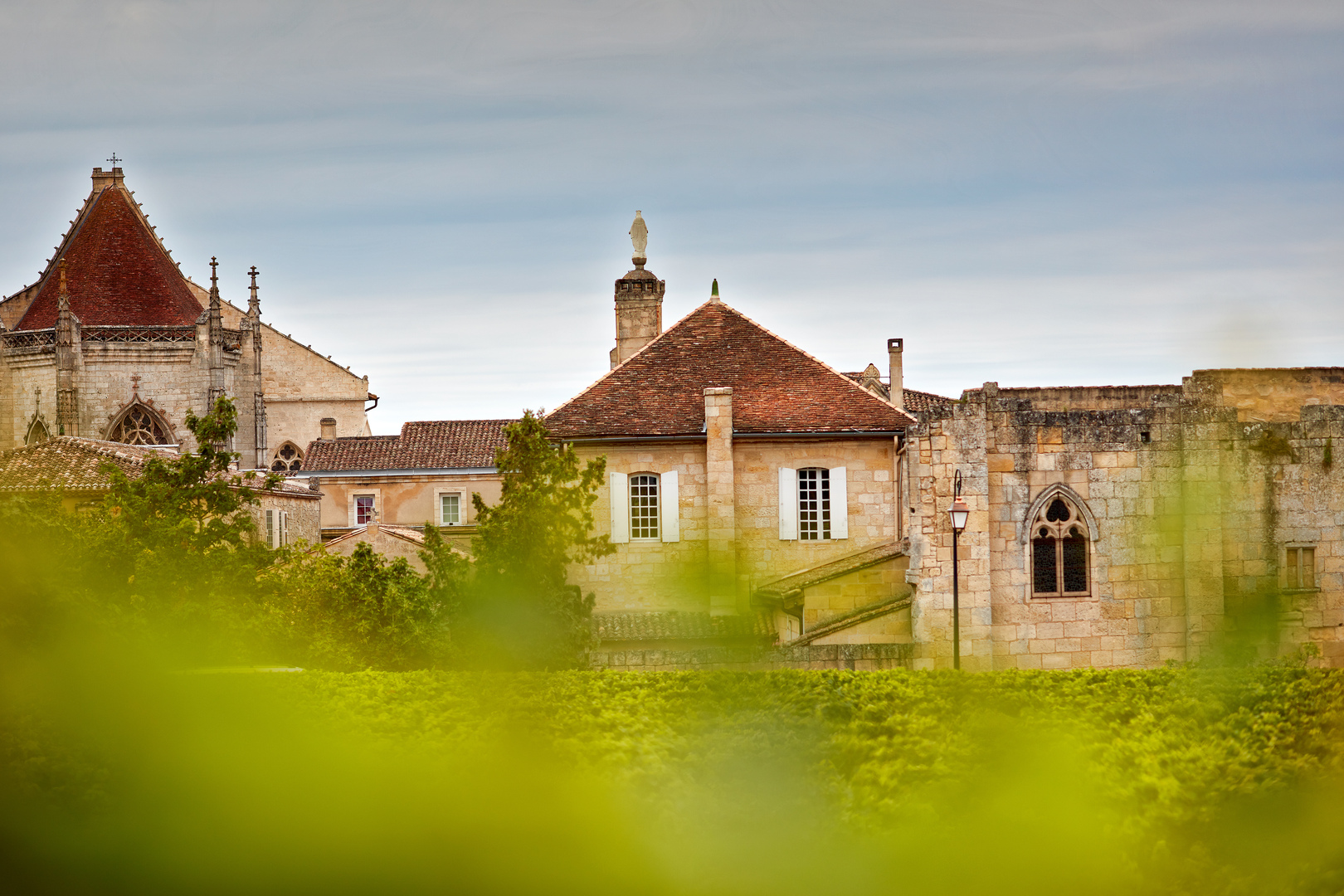Couvent_des_Jcaobins_Vignes (2)