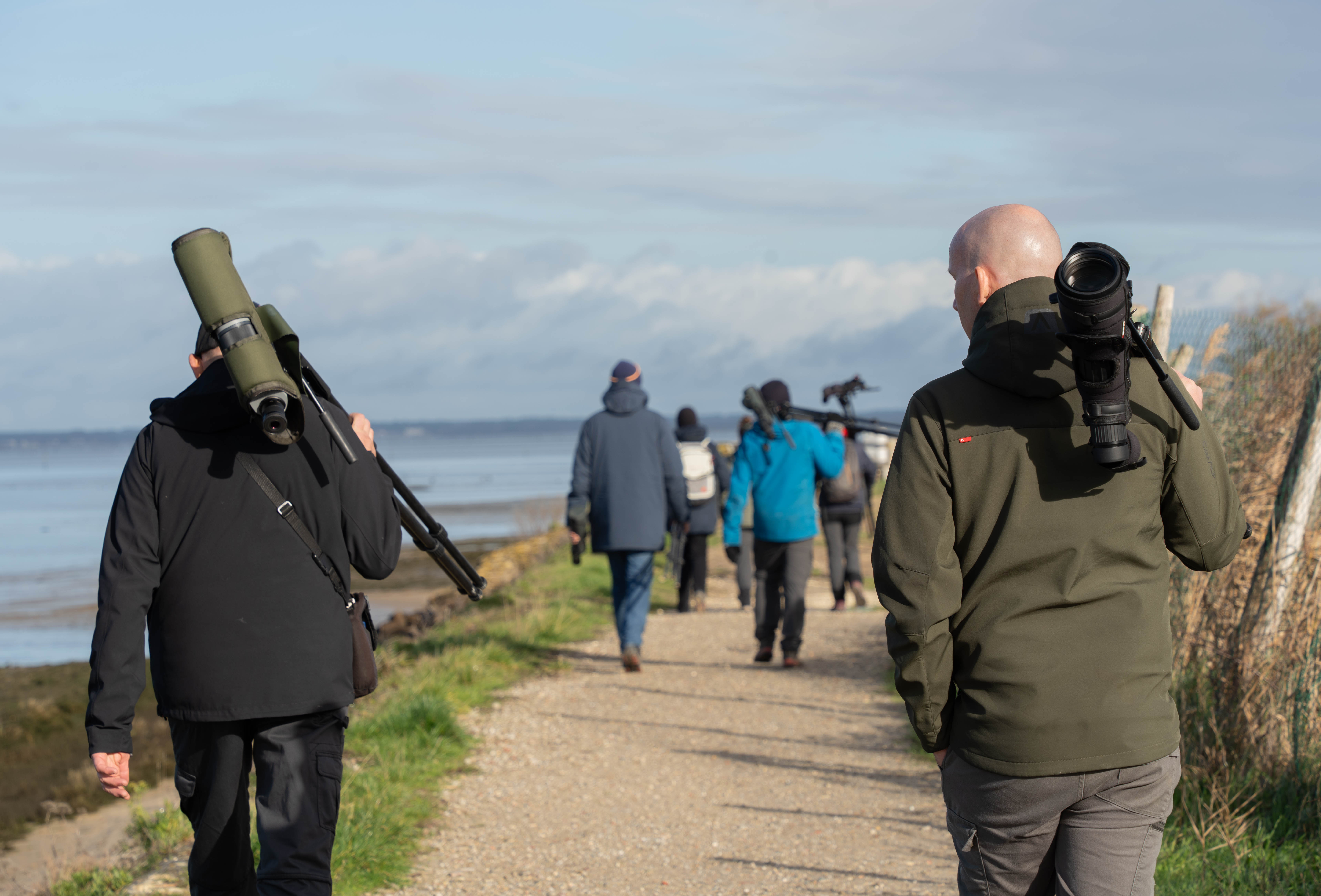 Formation aux oiseaux du littoral : les limicoles, le temps de l&rsquo;hiver