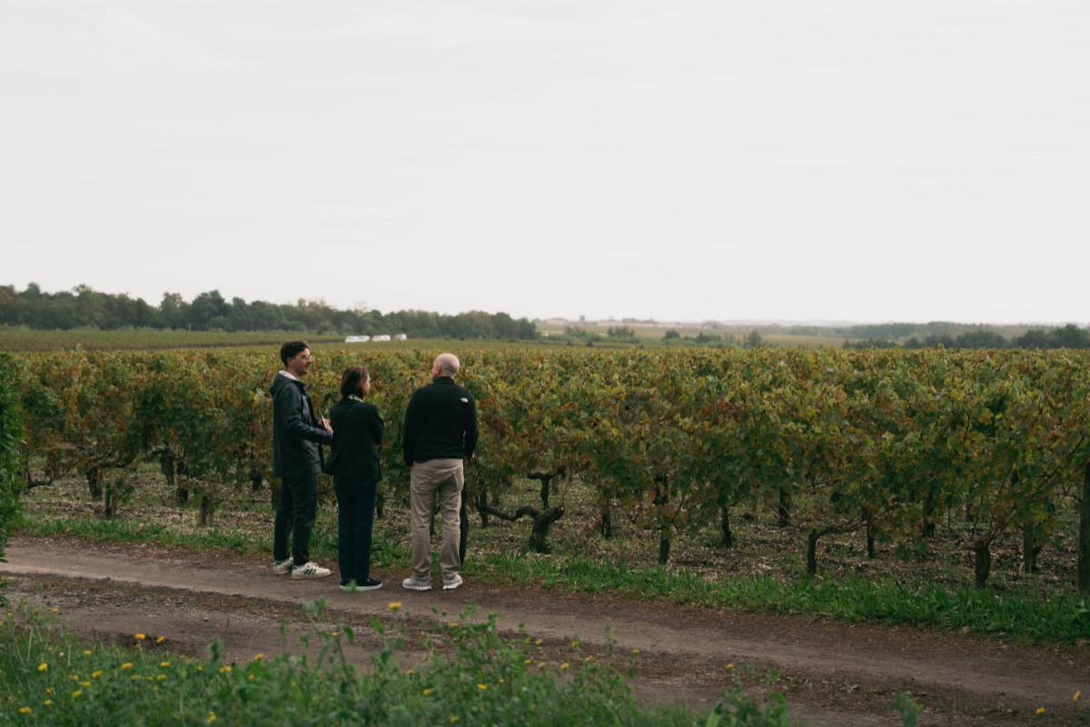 Photo pour Oenotoursime - Découverte du vignoble