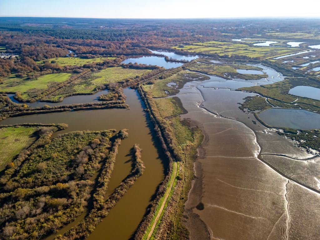 Domaine de Certes et Graveyron entre Audenge et Lanton