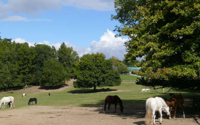Le domaine de la Burthe