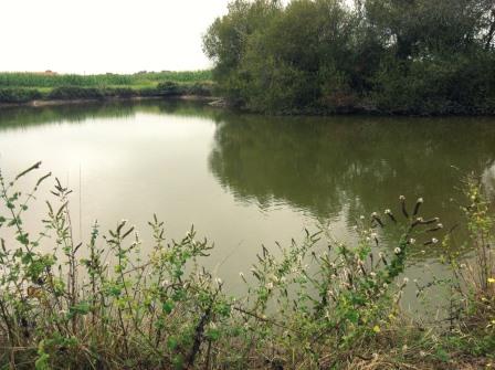 Etang des Cames