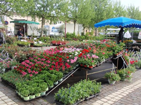 Grand marché des Floralies à Saint André de Cubzac