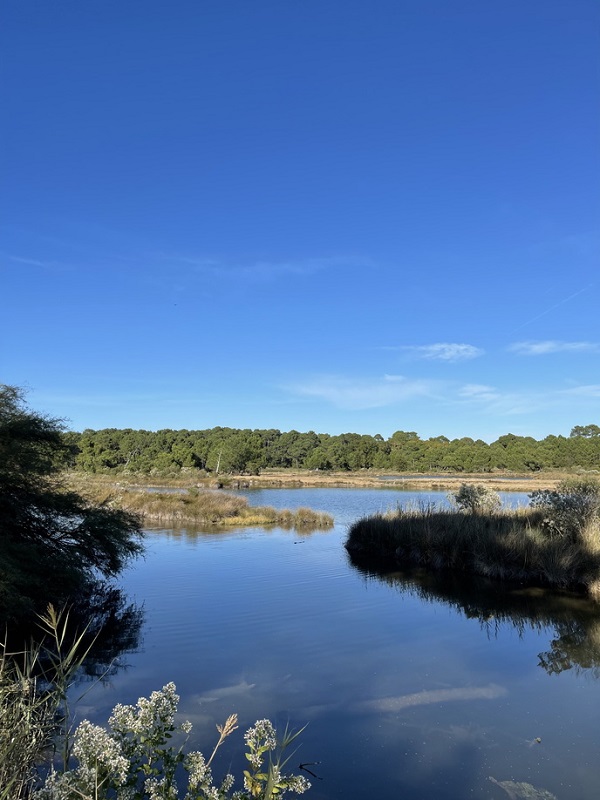 Site des Quinconces