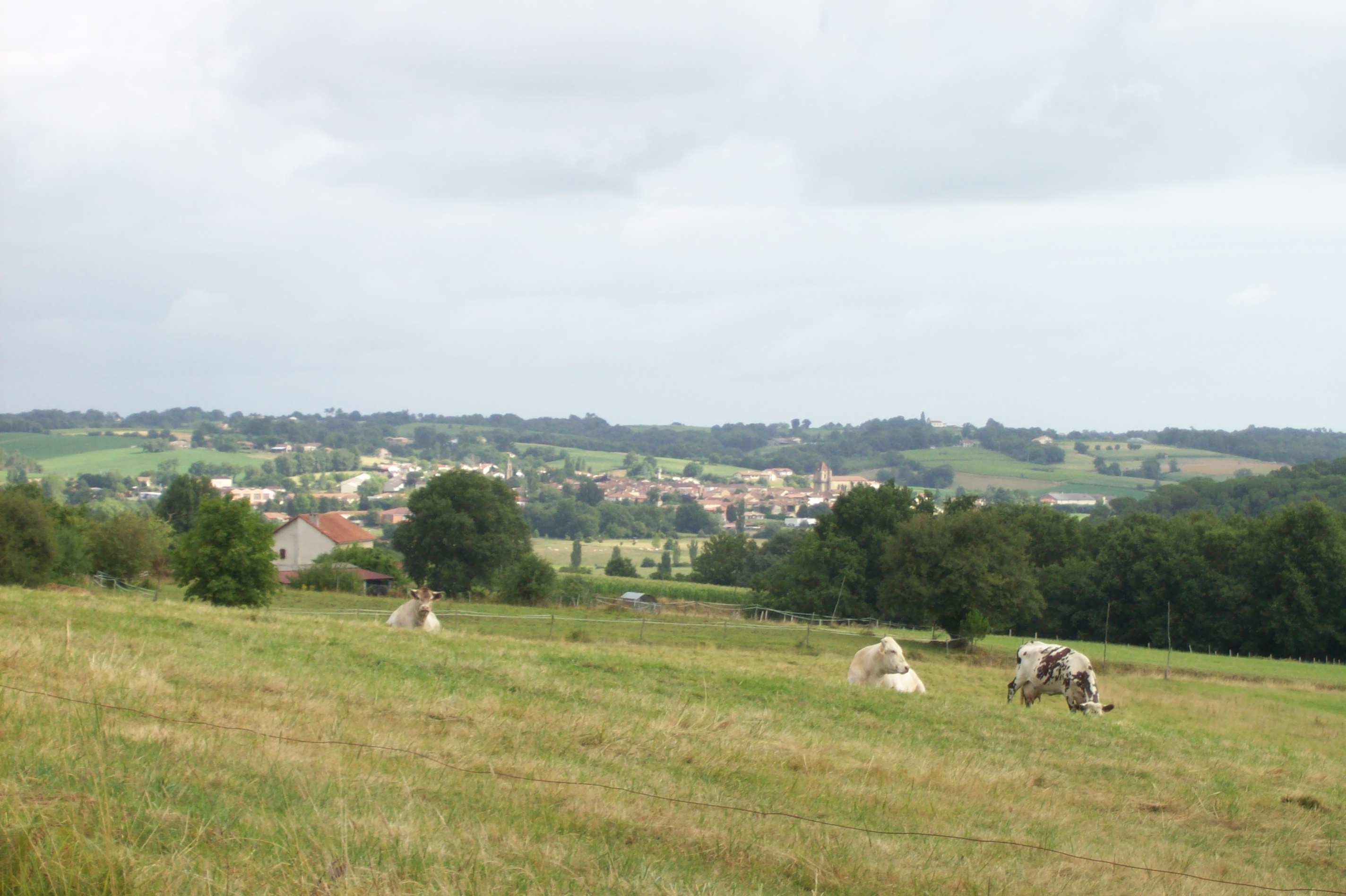 Paysage du Tursan
