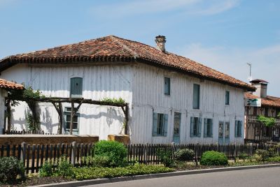 Garein - Graine de fôret (8)web