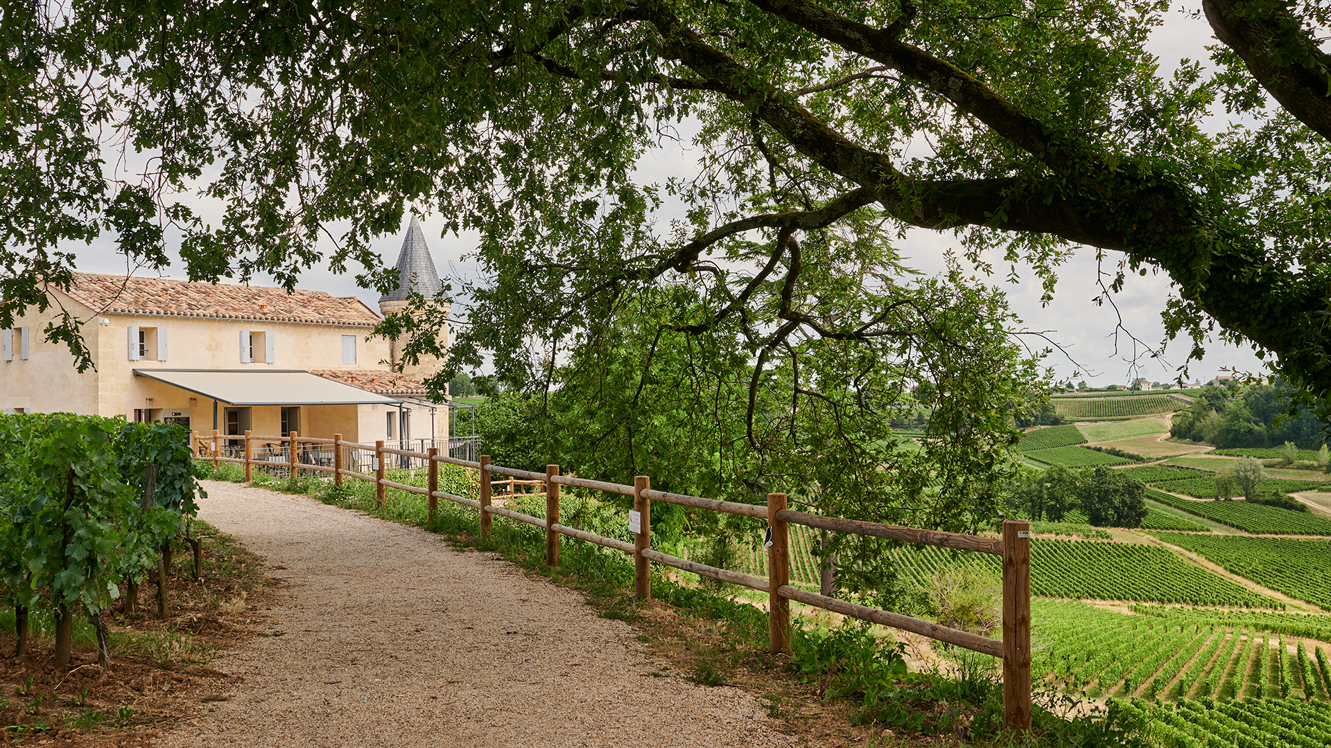 Guinguette Panoramique Tour Baladoz Saint Emilion Grand Cru Classé (2)