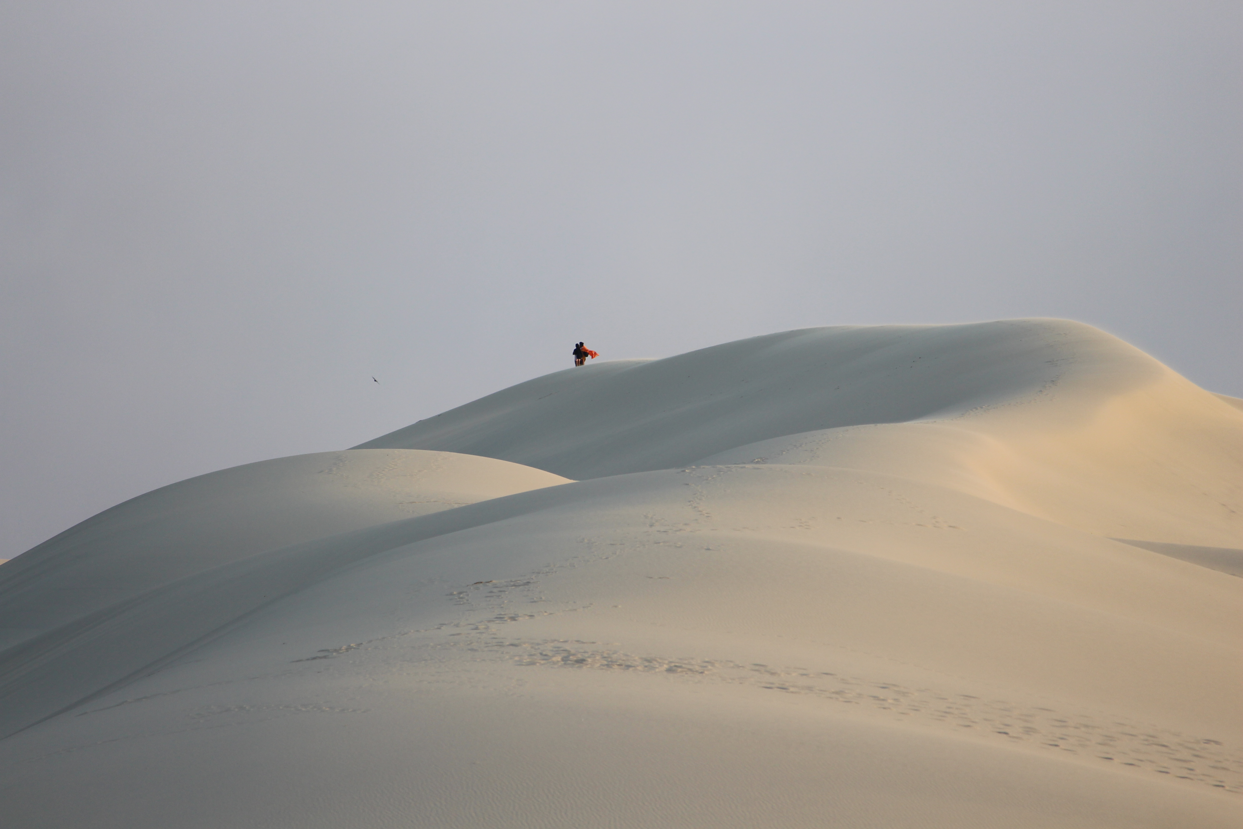 Balade commentée de la Dune du Pilat au coucher du soleil