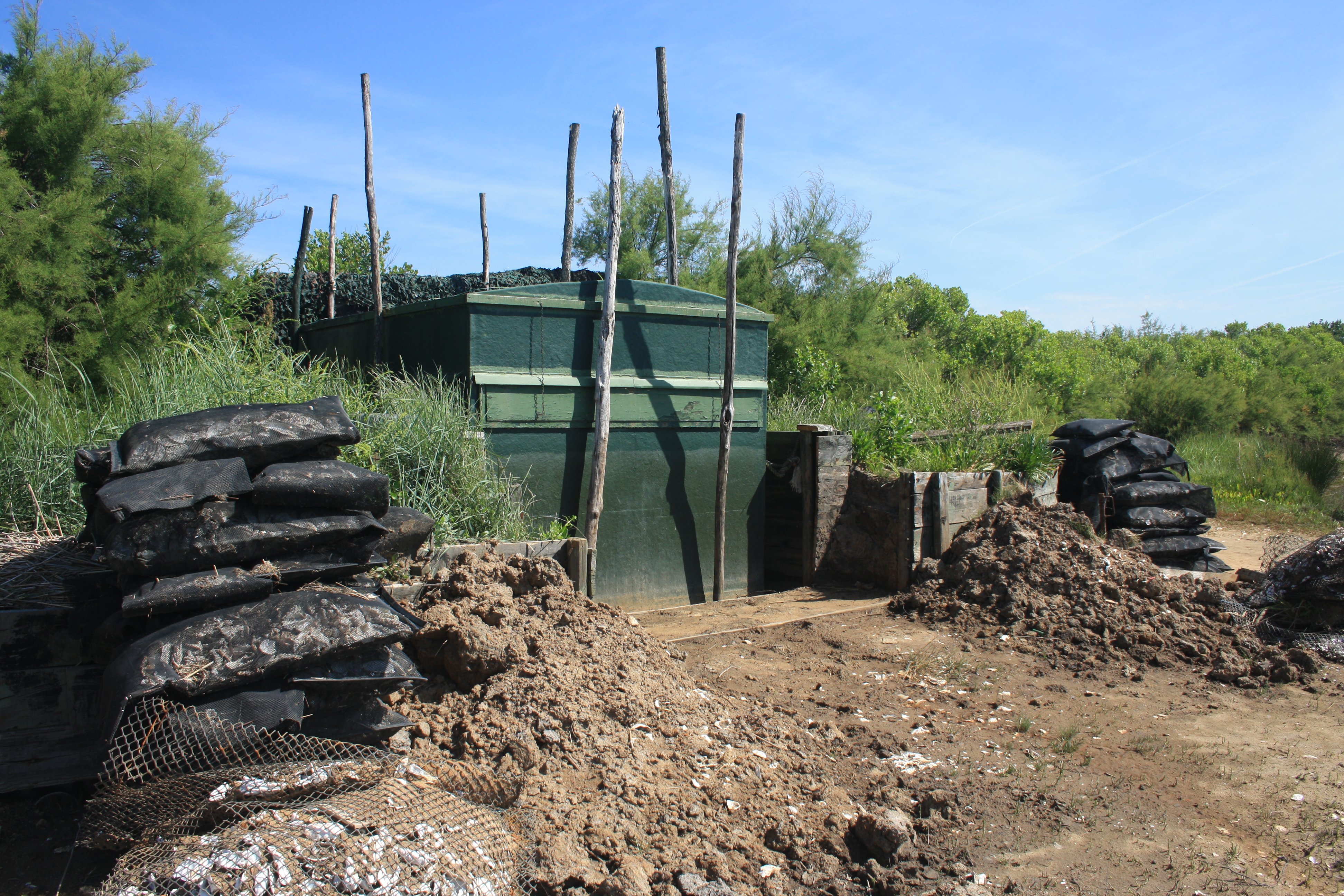 La chasse à la tonne