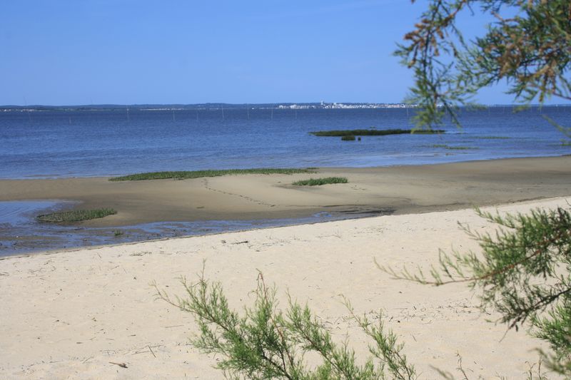 La plage d'Audenge