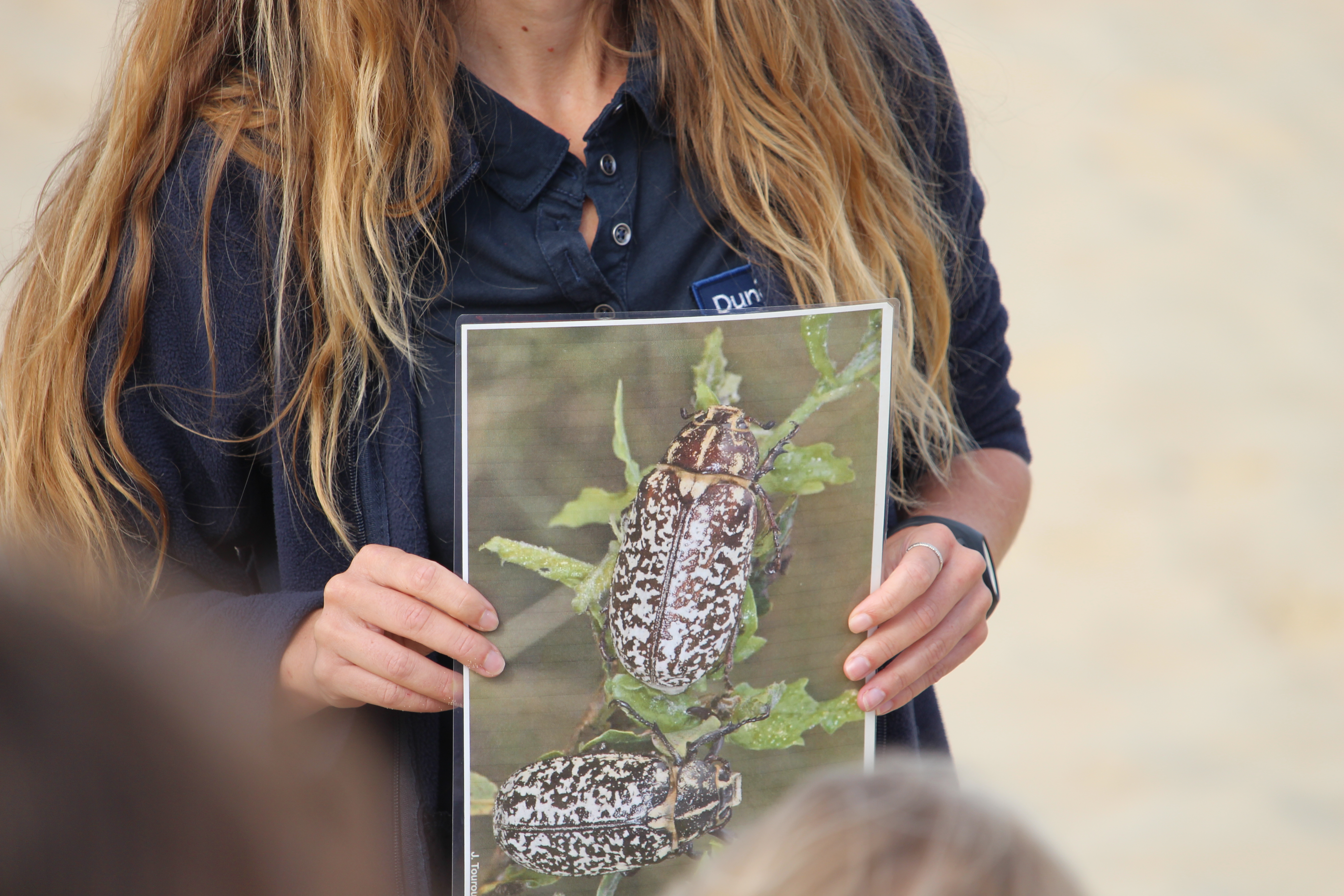 Visite guidée de la Dune du Pilat