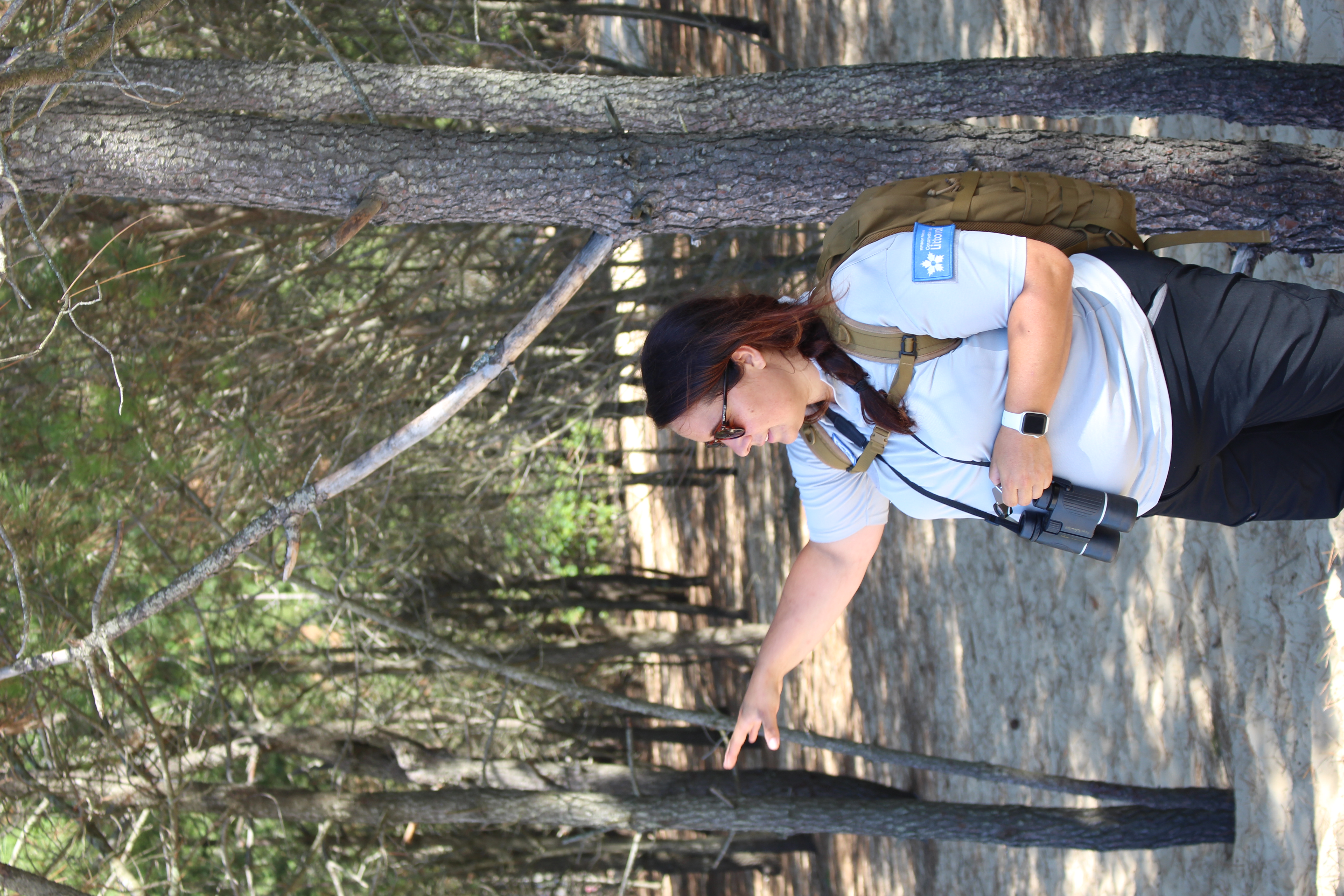 Sur les traces des oiseaux migrateurs du Bassin d’Arcachon