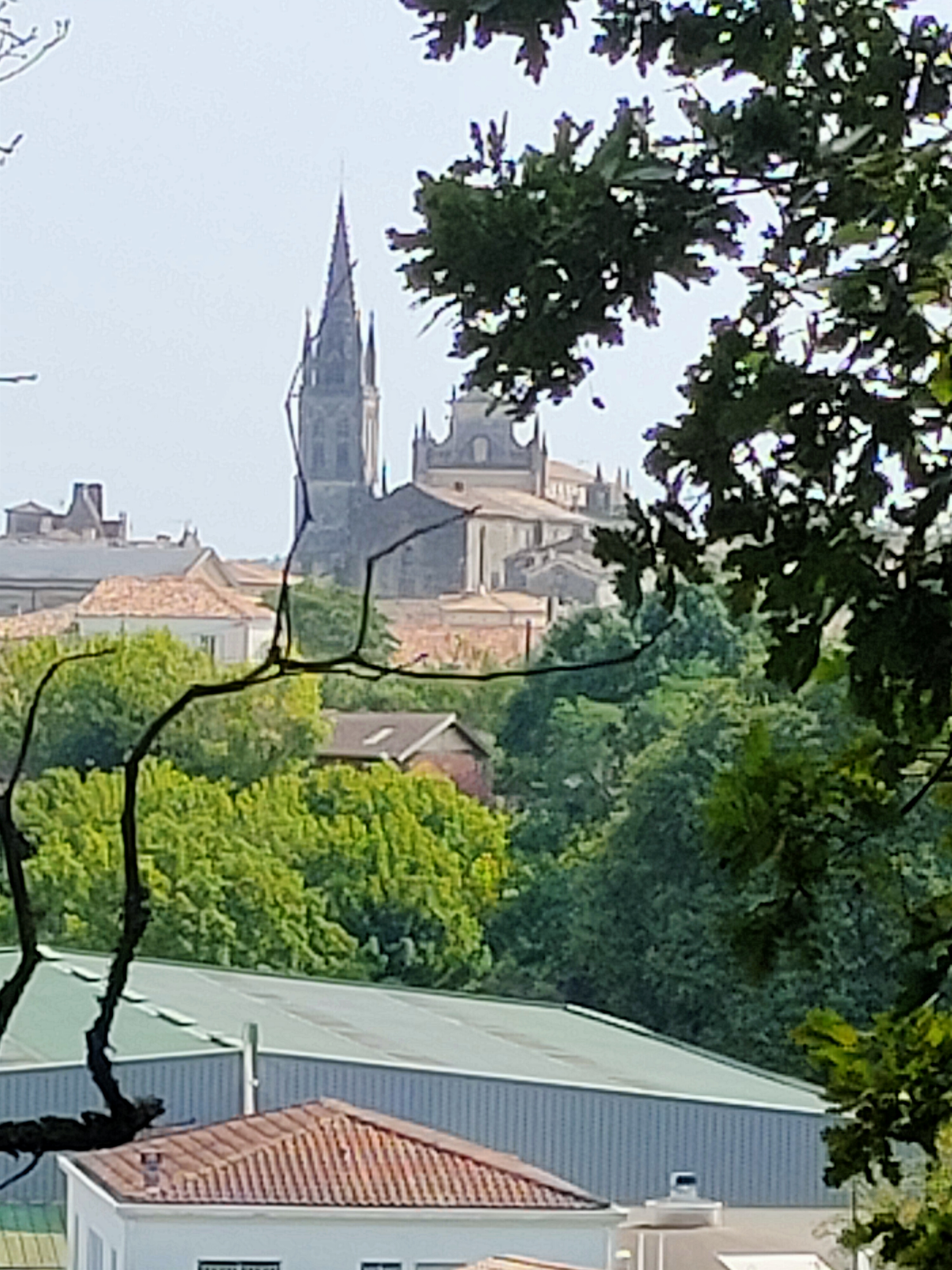 Cathédrale de Bazas