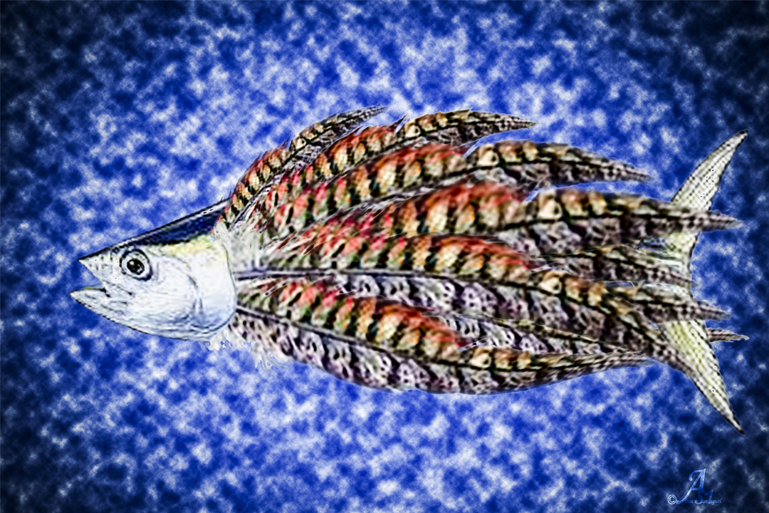 Exposition de photographies