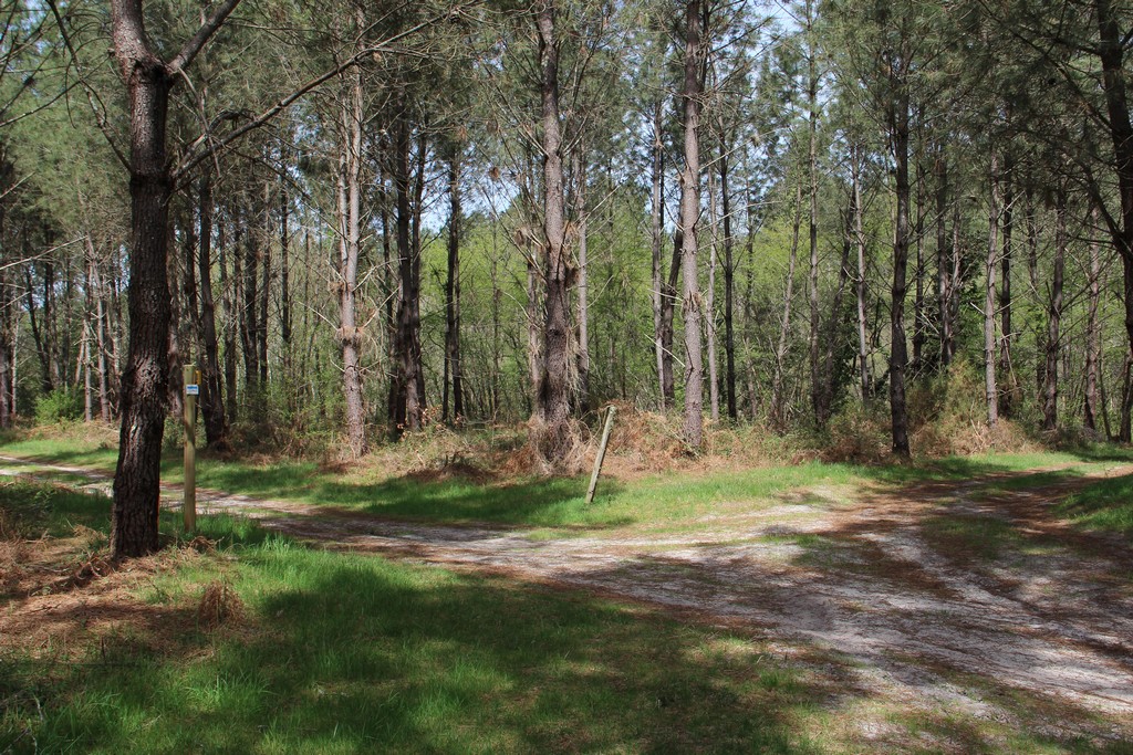 Intersection Barzague