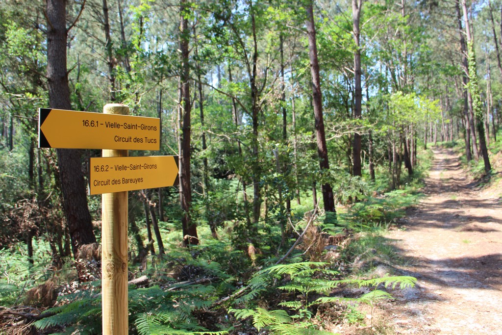 Intersection avec chemin Tucs