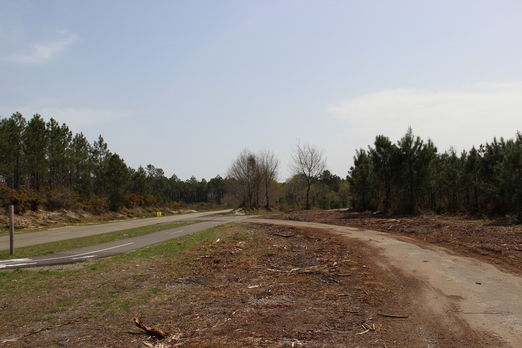 Intersection avec la piste cyclable