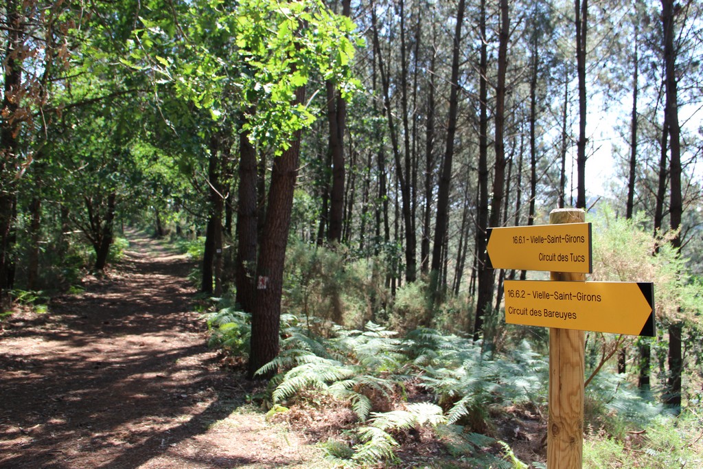 Intersection circuit des Bareuyes