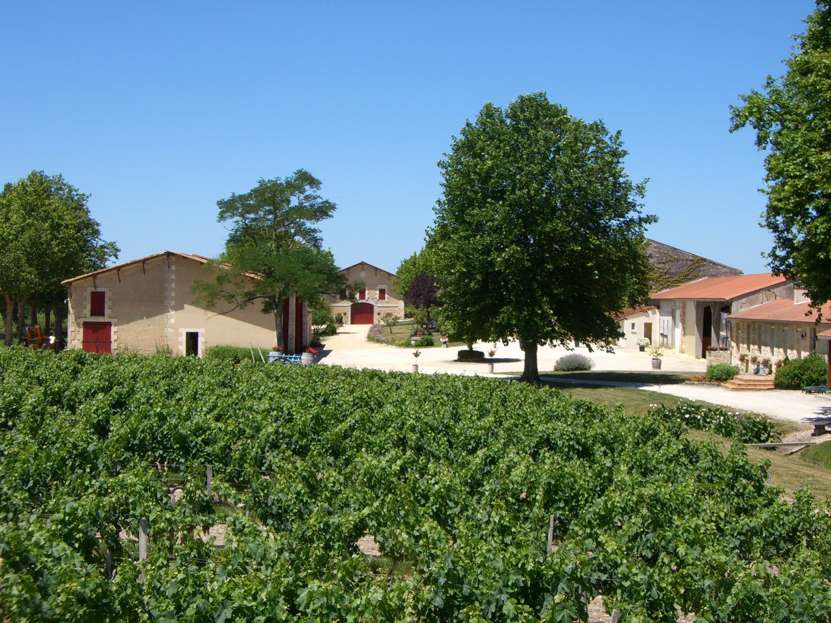 LE TEMPLE DE TOURTEYRON Médoc_Domaine 9