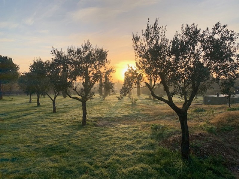 Le nid des coeuilles Communauté de communes Les Coteaux Bordelais