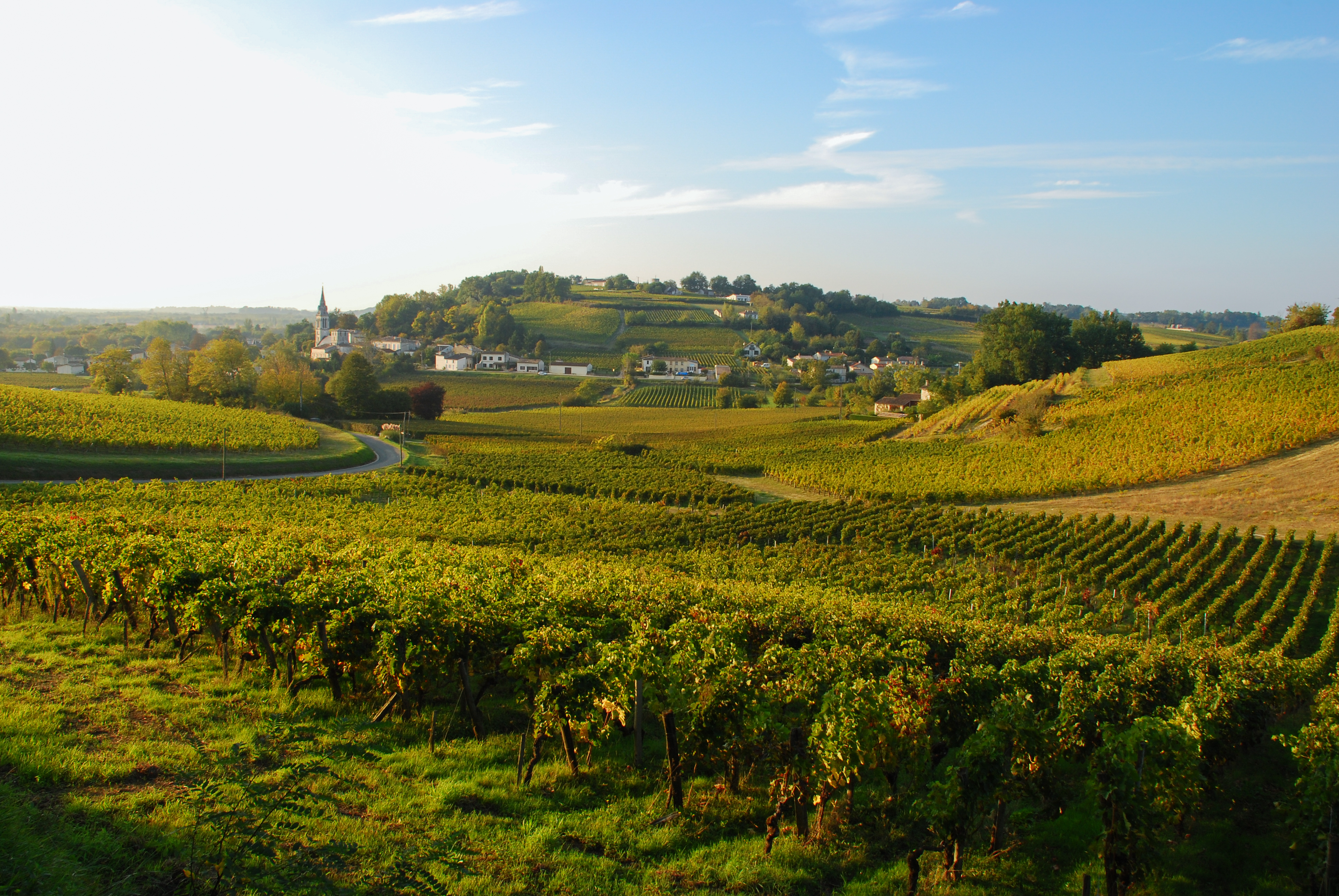 Les Points de Vue