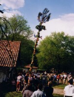 Maillade au moulin