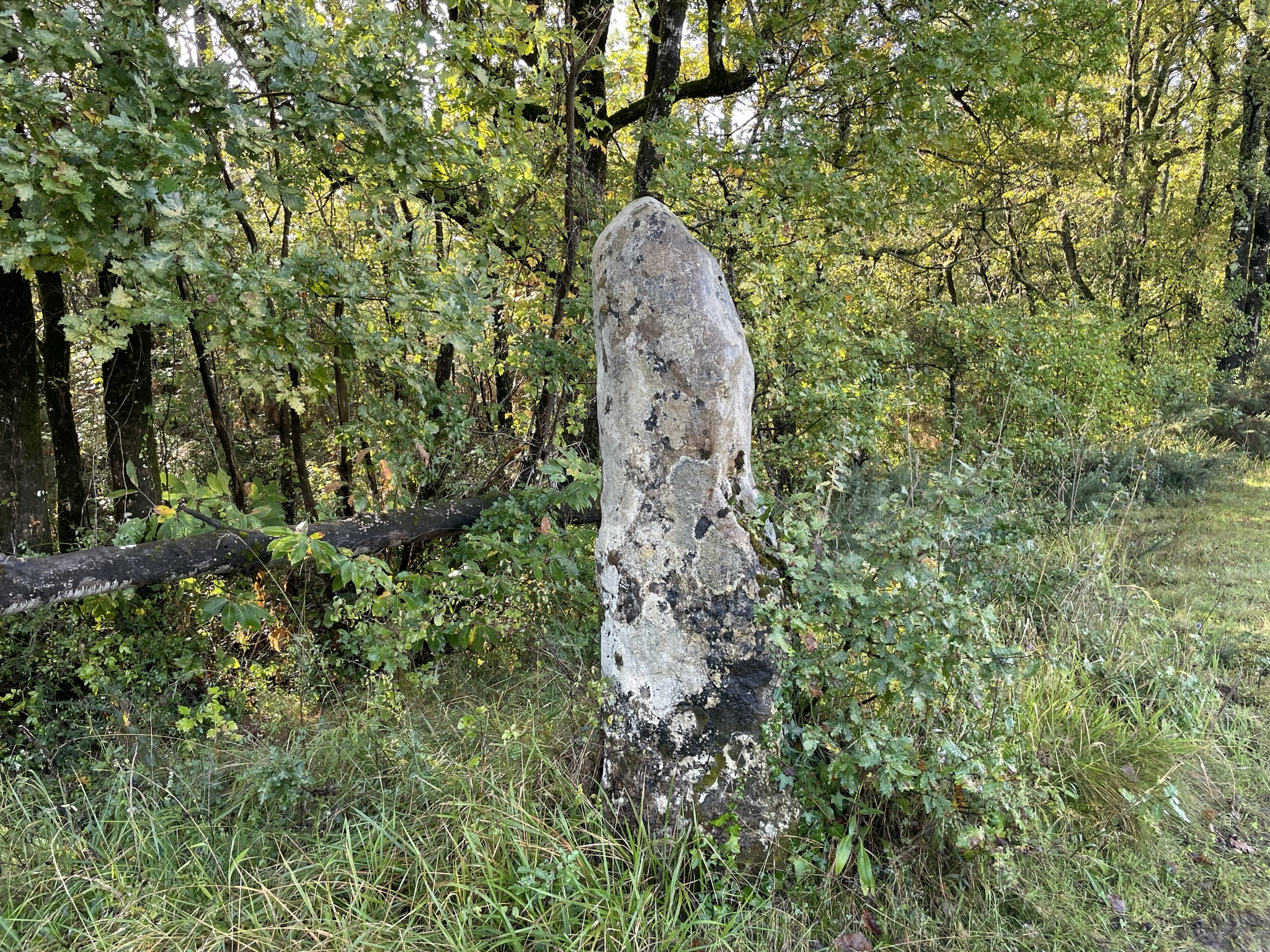 Menhir de Pontaret