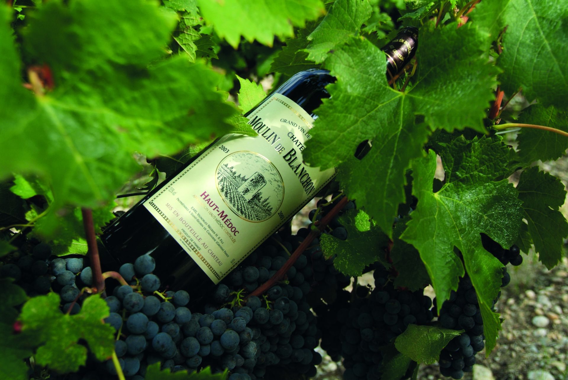 Château Moulin de Blanchon