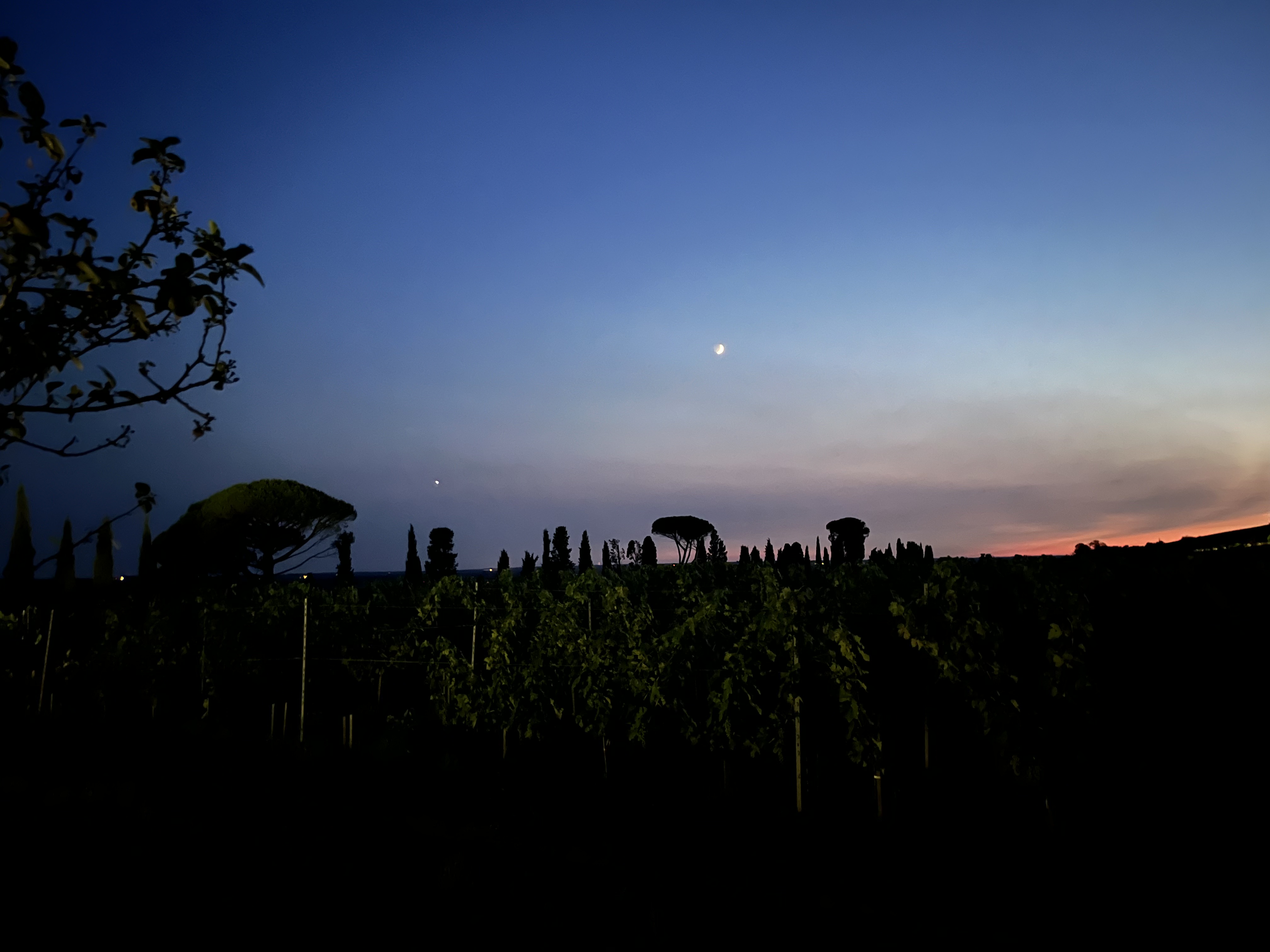 Les Noctambules de septembre au Domaine de Malagar