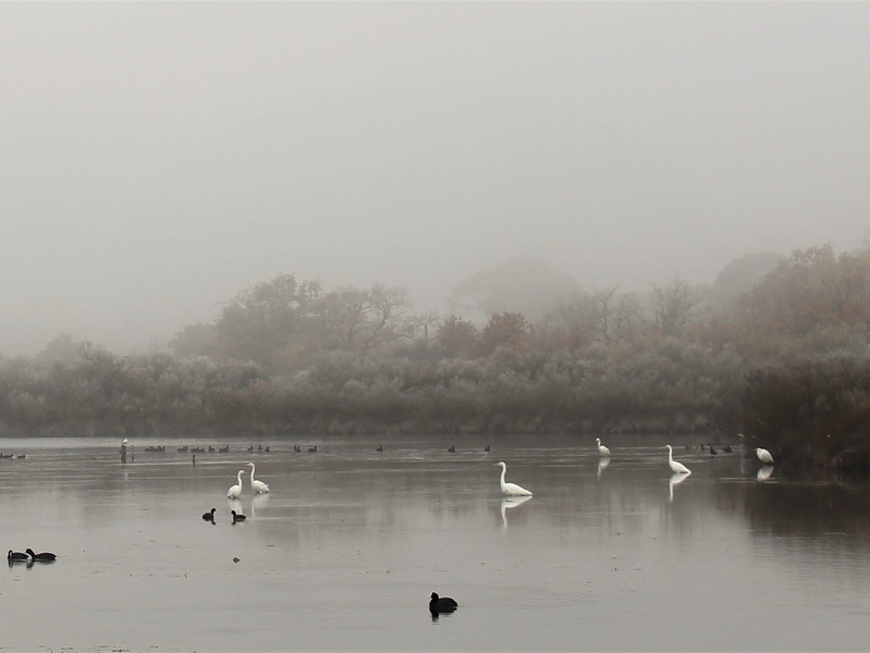 Le littoral au coeur de l&rsquo;hiver