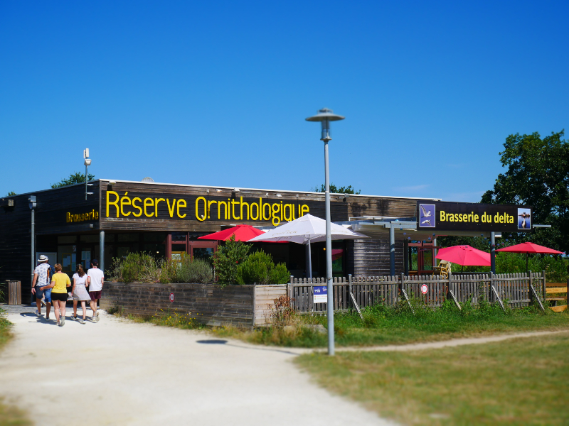 Brasserie du Delta