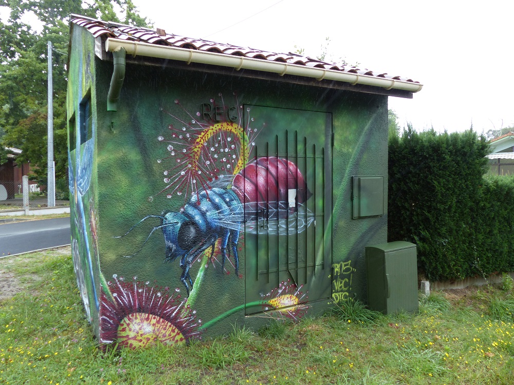 Oeuvres de street-art