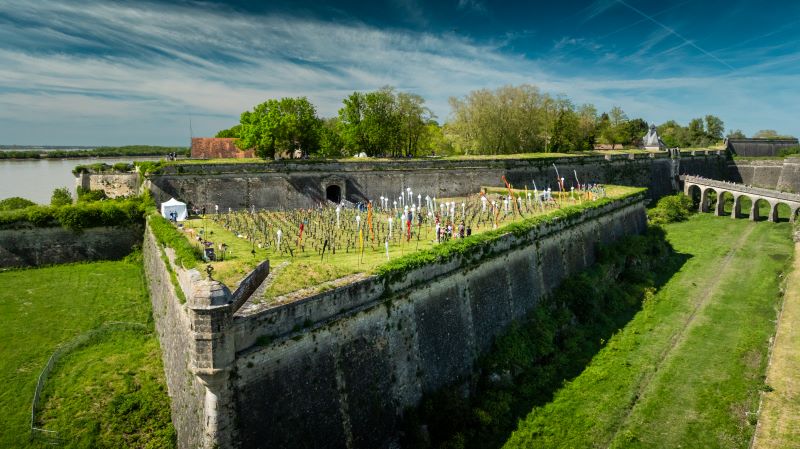 PRINTEMPS_DES_VINS_2024©ClaudeClin