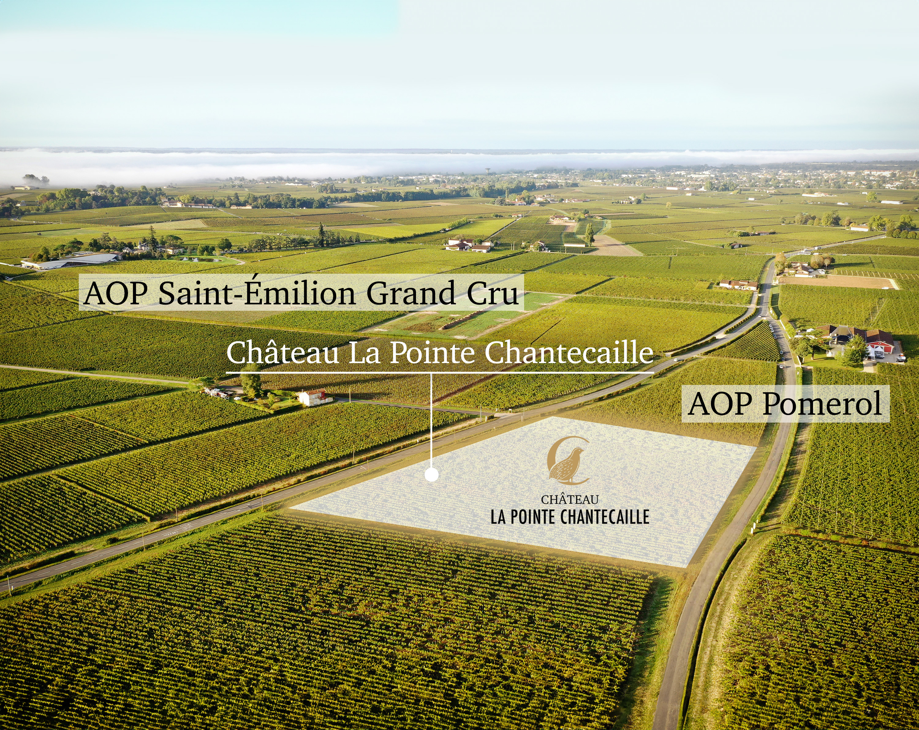 Parcelle  environnement AOP